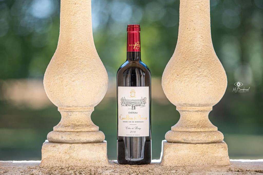 Chateau Couffins Asques Εξωτερικό φωτογραφία